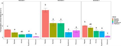 Microbial Communities in Bioswale Soils and Their Relationships to Soil Properties, Plant Species, and Plant Physiology